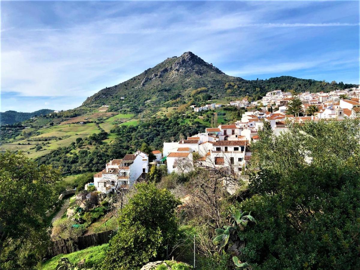 Nilva Mountain - Manilva Villa Εξωτερικό φωτογραφία